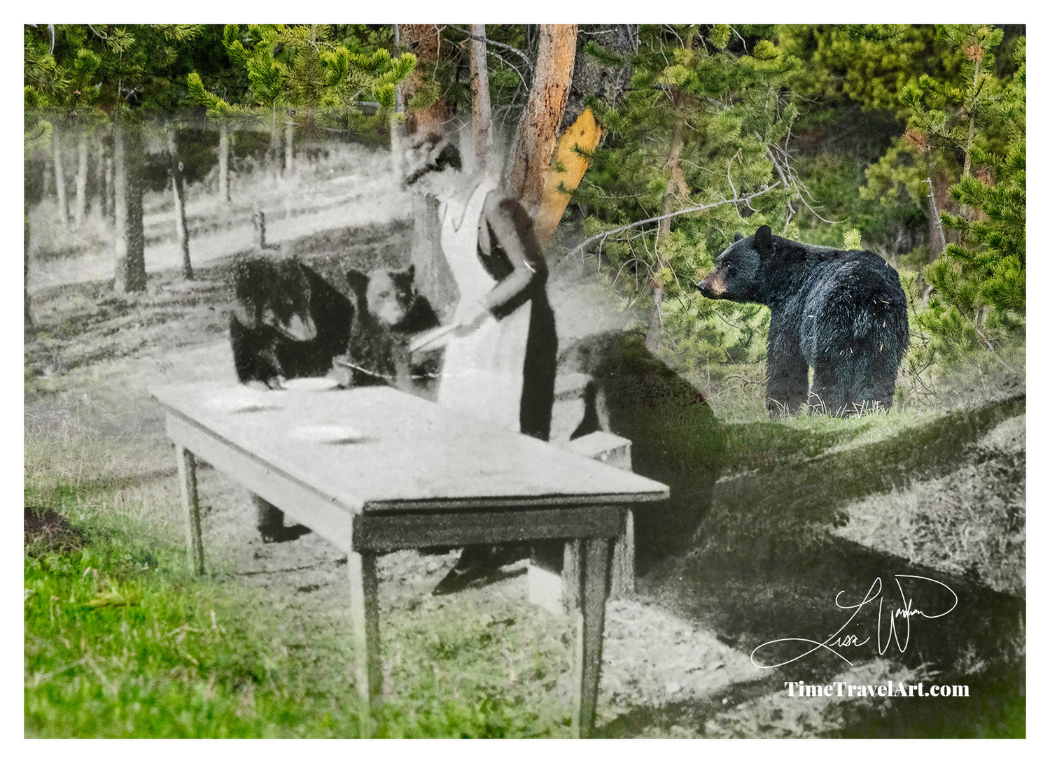 Bear Picnic - Yellowstone National Park