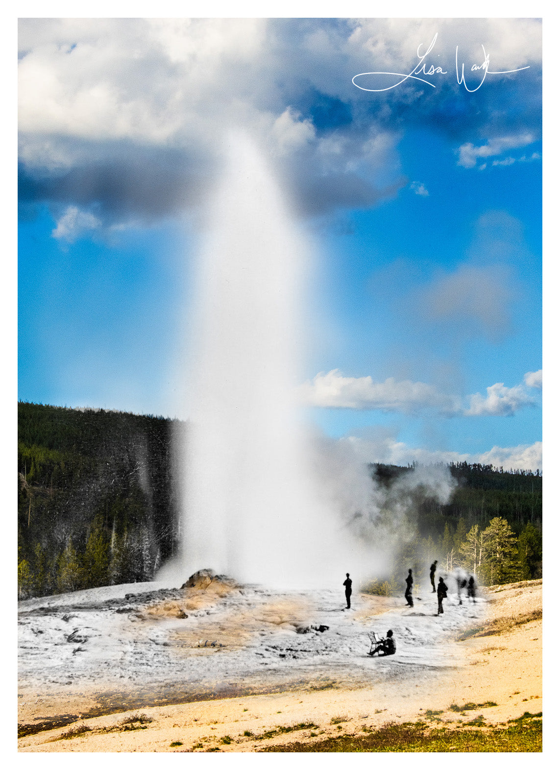 Old Faithful Painter - Yellowstone National Park