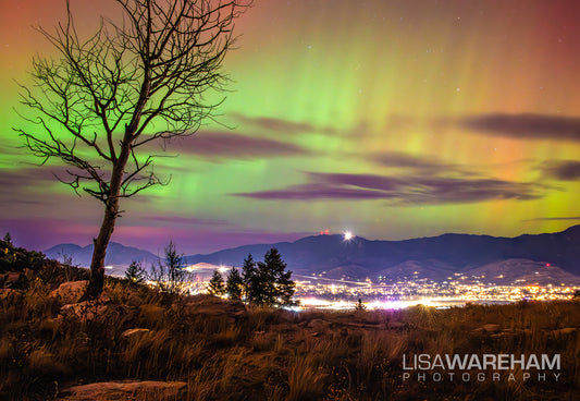 Northern Lights from TImber Butte - Butte Montana - Matted Print