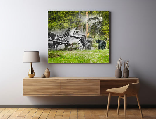 Bears Fed by Staff - Canvas Gallery Wrap