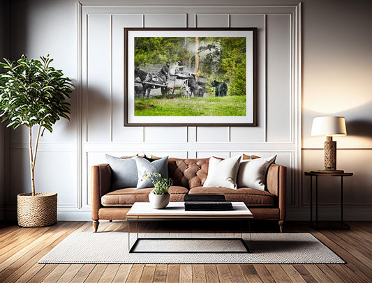 Bears Being Fed by Staff - Framed and Matted Print